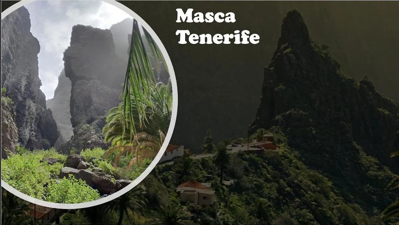 Natalia Beach Apartment Costa Adeje  0*, Costa Adeje (Tenerife)